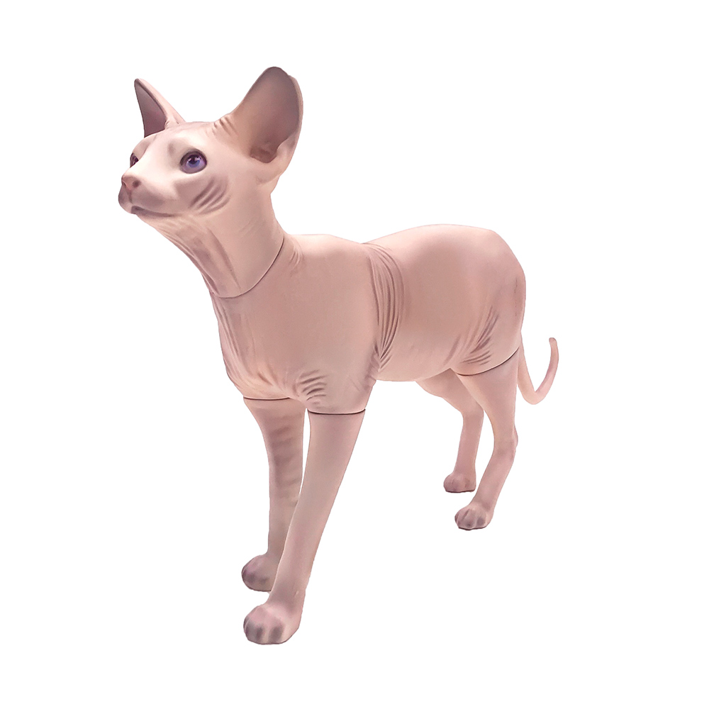 無(wú)毛貓模型可拆寵物道具貓狗衣服拍攝展示衣架模特斯芬克斯貓擺件
