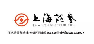 上海證券麗水營業部開業盛典，投資控股引領財富未來