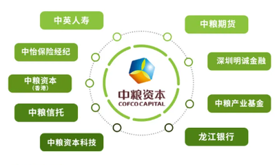 福滿佳2.0紅利實現率超預期，2025年中英人壽分紅率突破3.5%驚喜揭曉